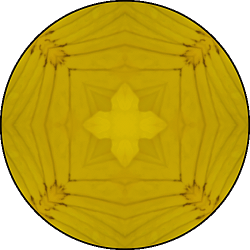 Daily Digital Mandala 545