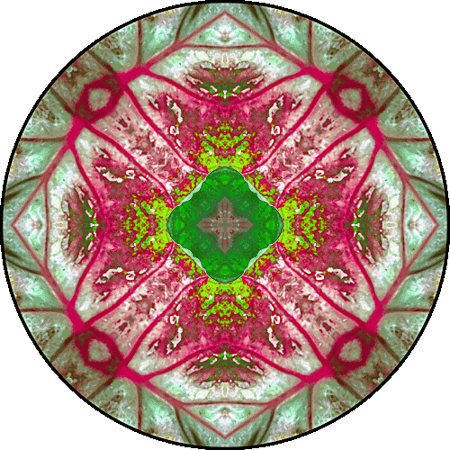 Daily Digital Mandala 533