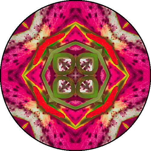 Daily Digital Mandala 537