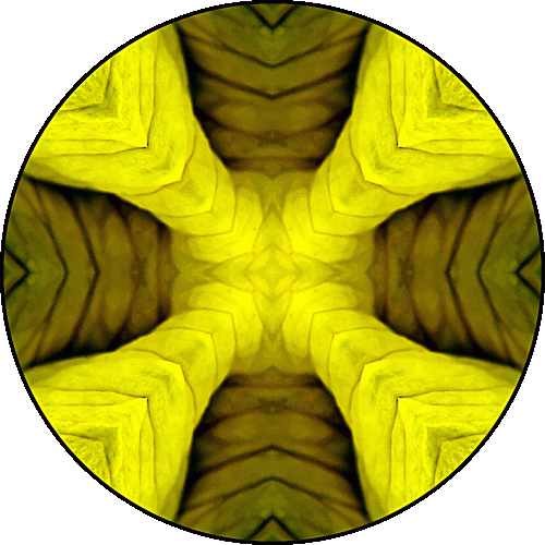 Daily Digital Mandala 561