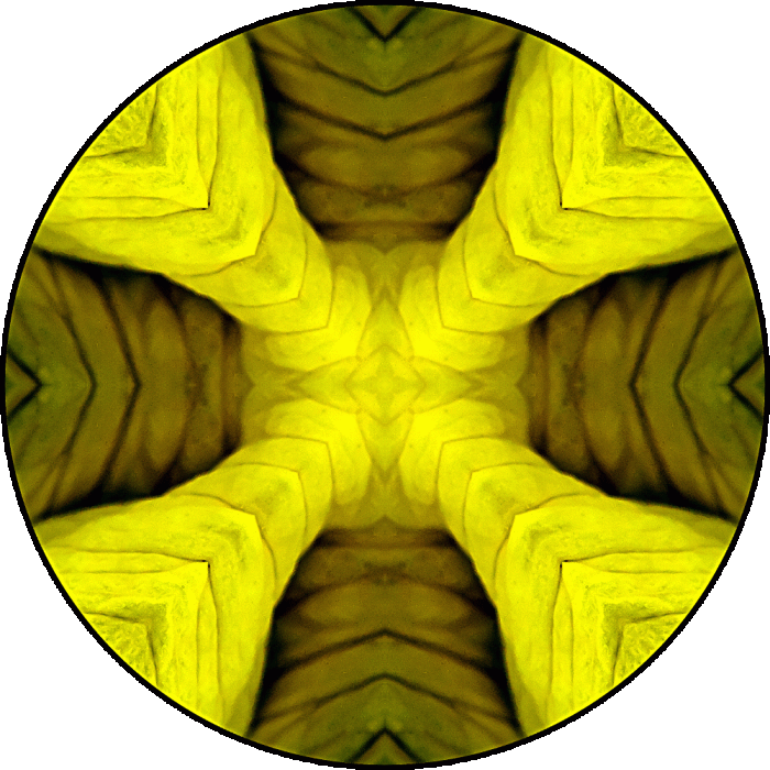 Daily Digital Mandala 593