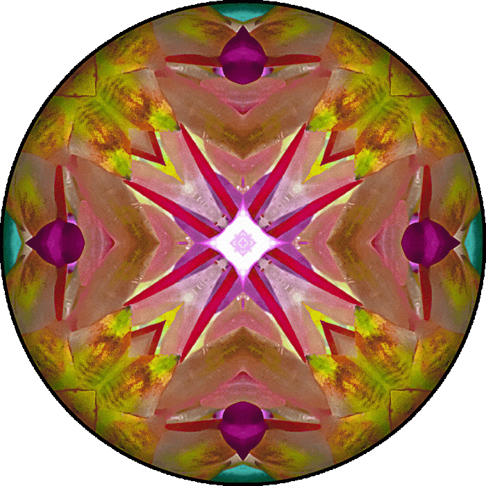 Daily Digital Mandala 551