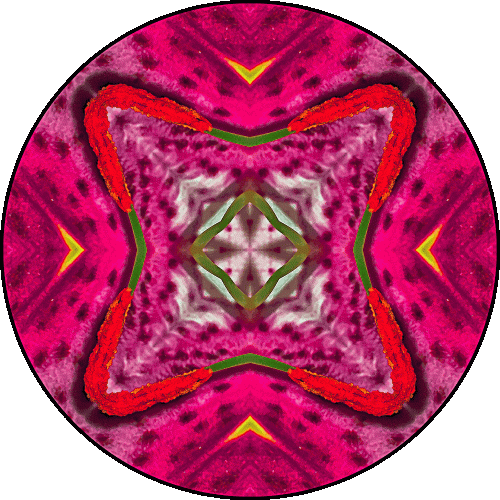 Daily Digital Mandala 553