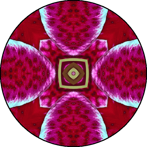 Daily Digital Mandala 554