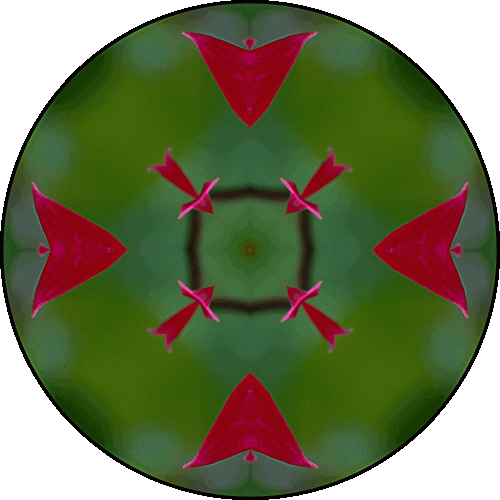Daily Digital Mandala 555