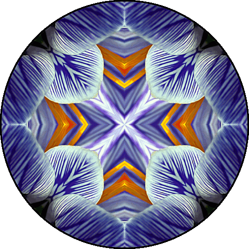 Daily Digital Mandala 562