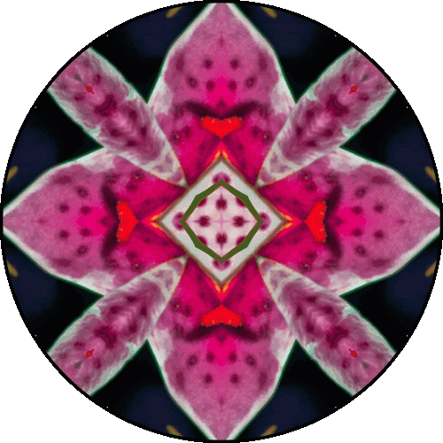 Daily Digital Mandala 569