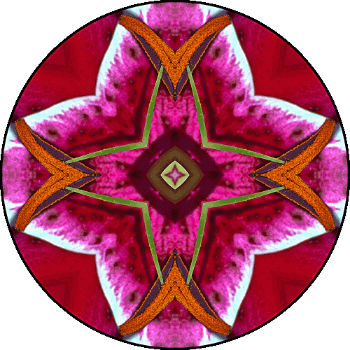 Daily Digital Mandala 570