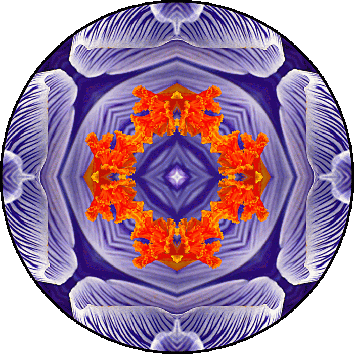 Daily Digital Mandala 578