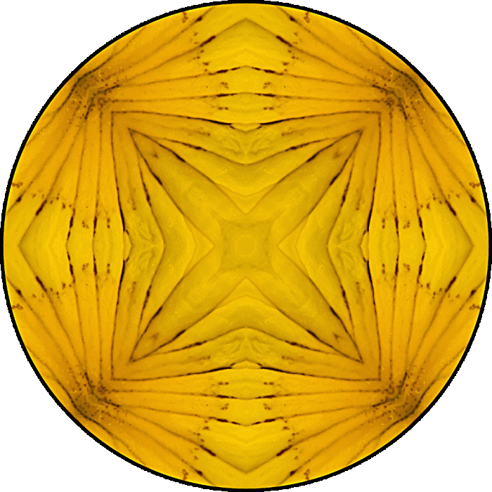 Daily Digital Mandala 594