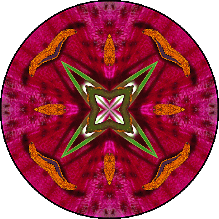 Daily Digital Mandala 585