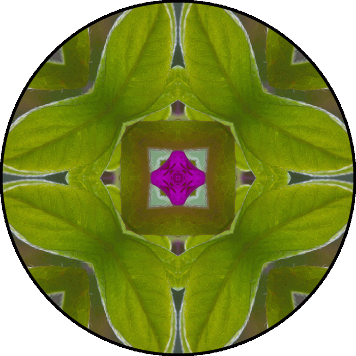 Daily Digital Mandala 626