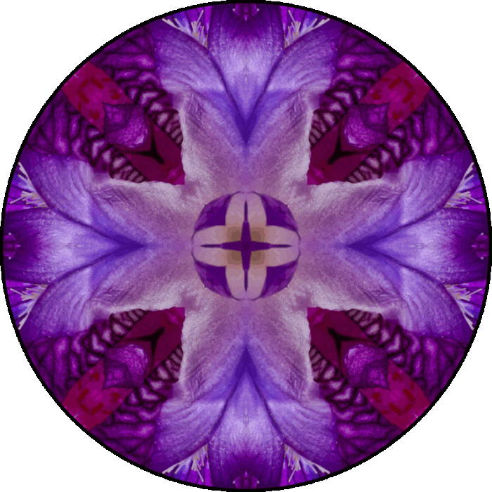 Daily Digital Mandala 609