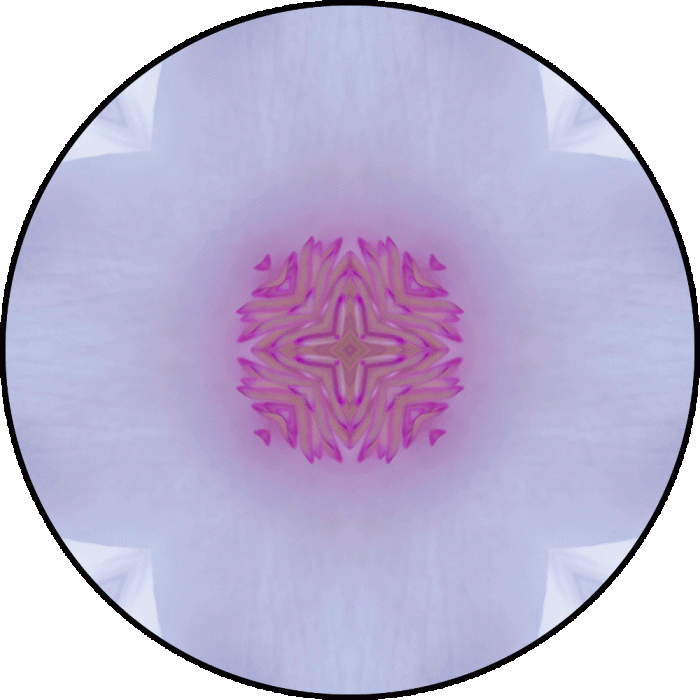 Daily Digital Mandala 611