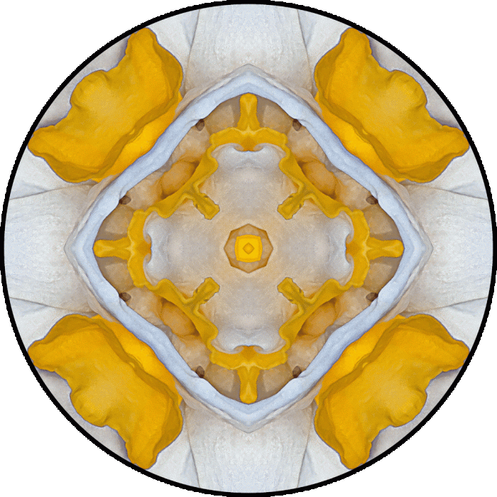 Daily Digital Mandala 613