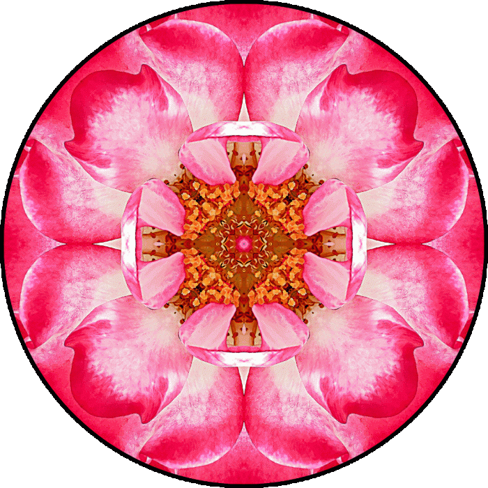 Daily Digital Mandala 597