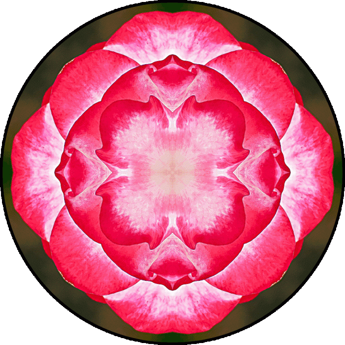 Daily Digital Mandala 598