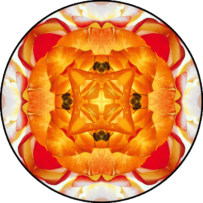 Daily Digital Mandala 673
