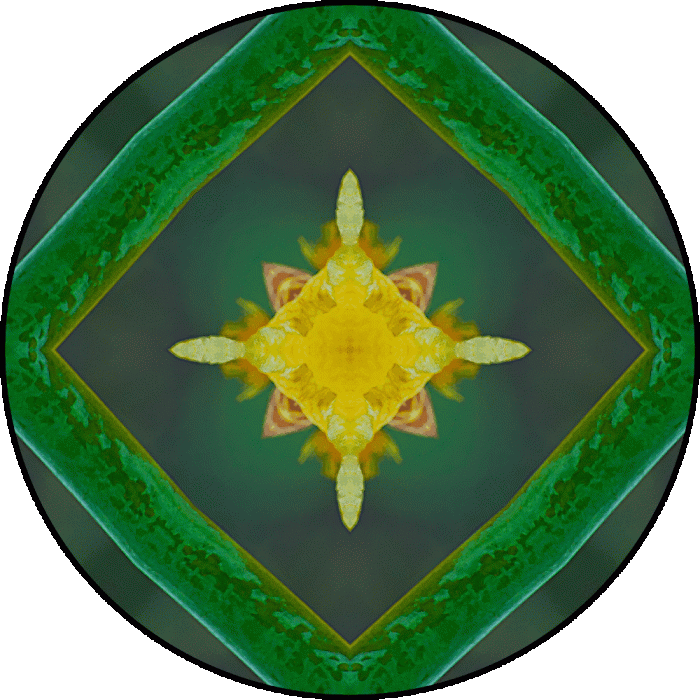 Daily Digital Mandala 603