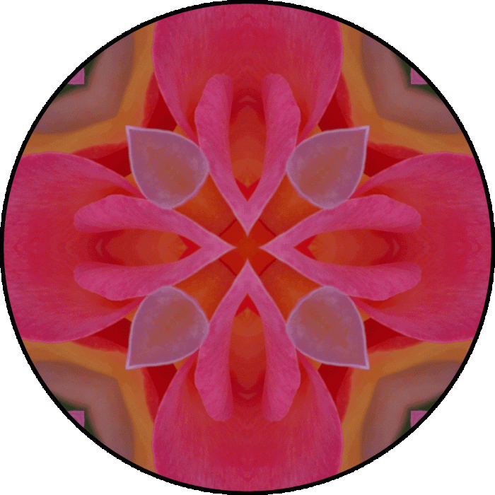 Daily Digital Mandala 604