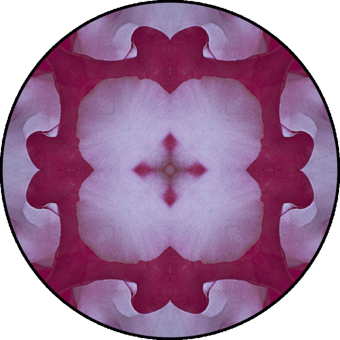 Daily Digital Mandala 614