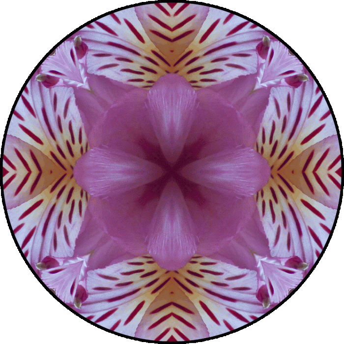 Daily Digital Mandala 625