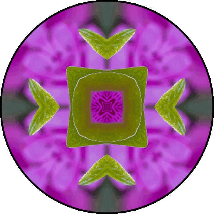 Daily Digital Mandala 643