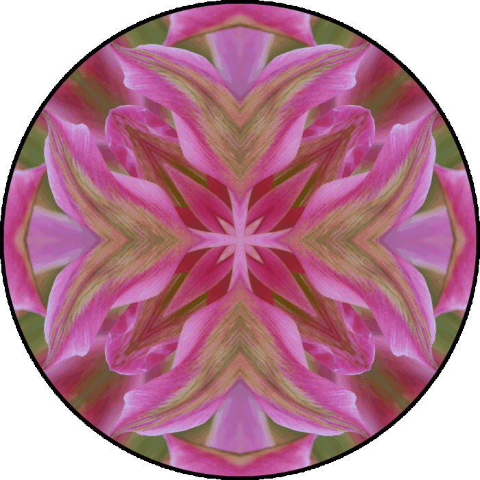 Daily Digital Mandala 644