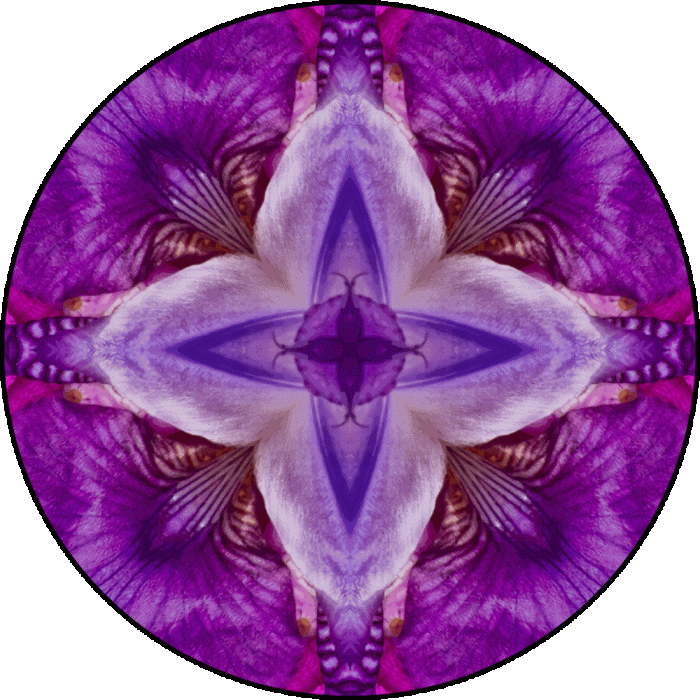 Daily Digital Mandala 627