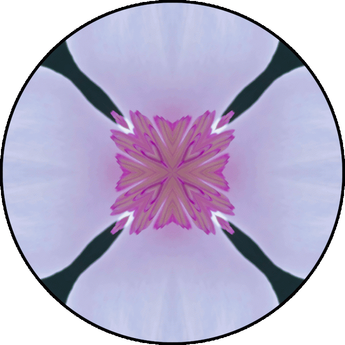 Daily Digital Mandala 629