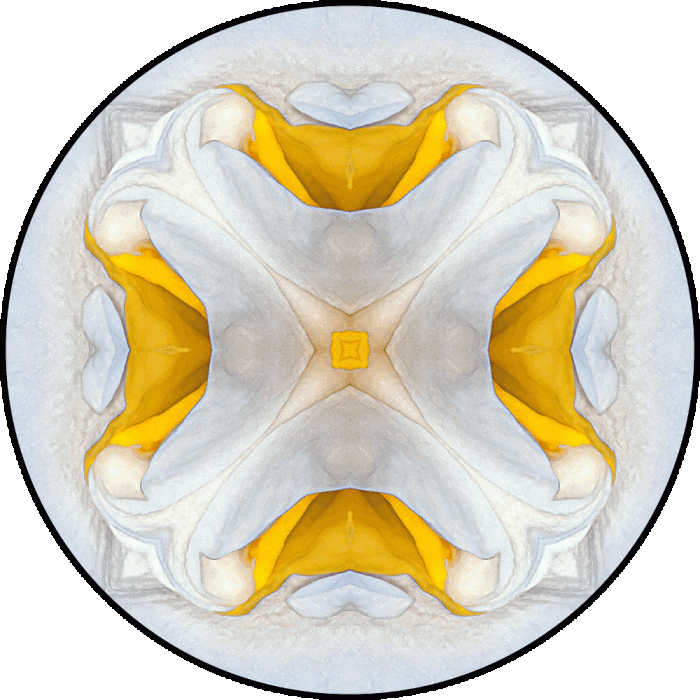 Daily Digital Mandala 631