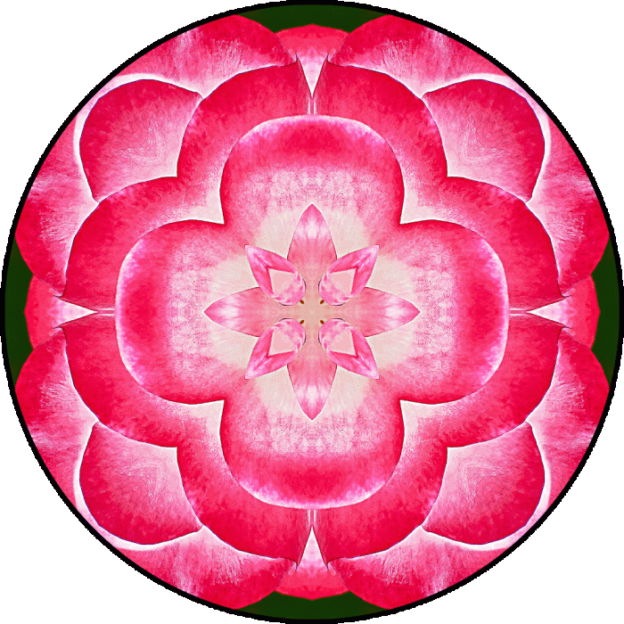 Daily Digital Mandala 617
