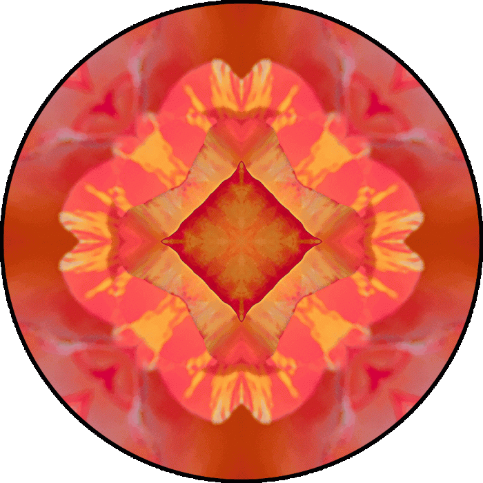 Daily Digital Mandala 618