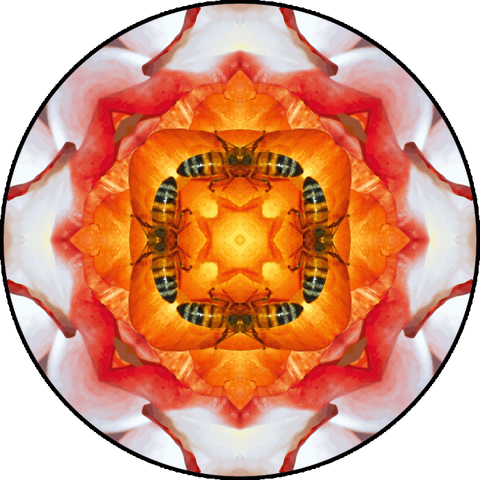 Daily Digital Mandala 692