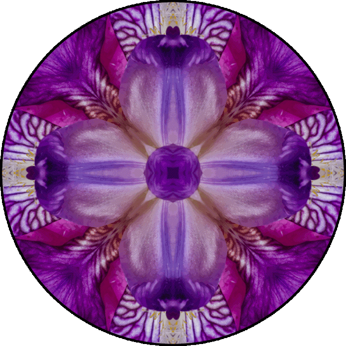 Daily Digital Mandala 645