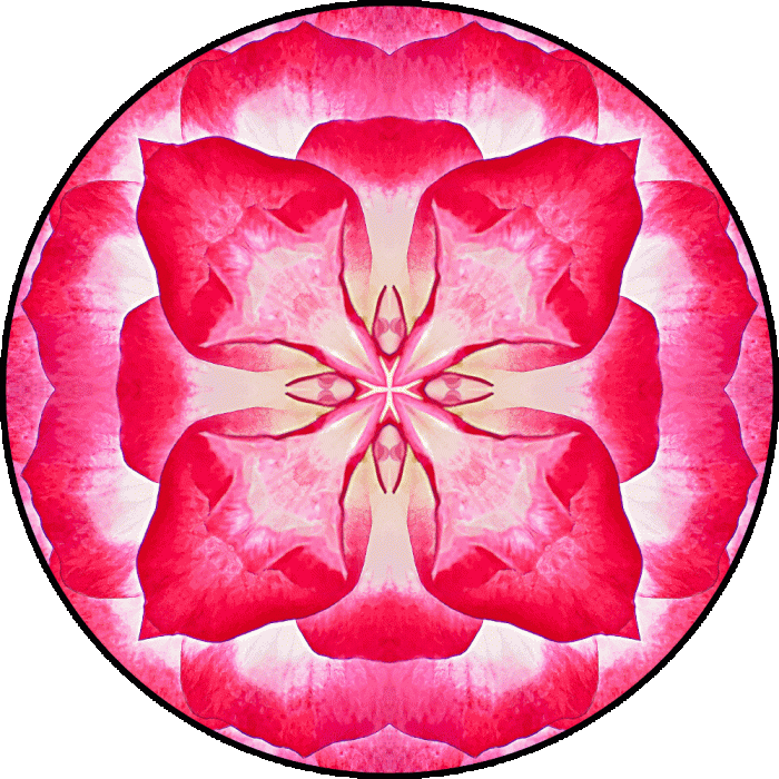 Daily Digital Mandala 633