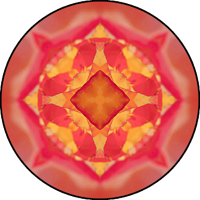 Daily Digital Mandala 635