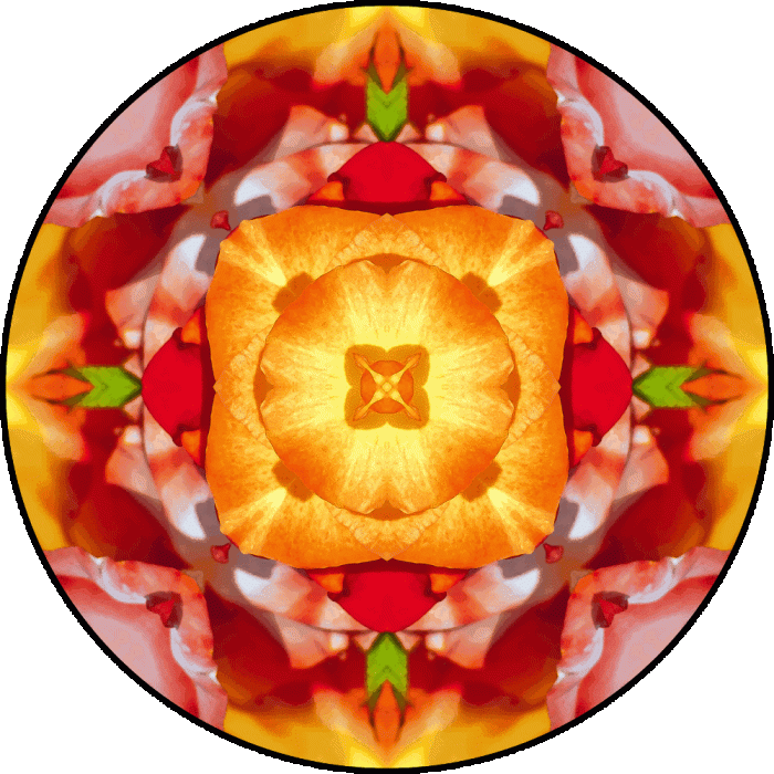 Daily Digital Mandala 712