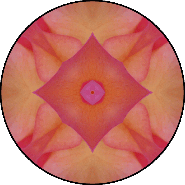 Daily Digital Mandala 640