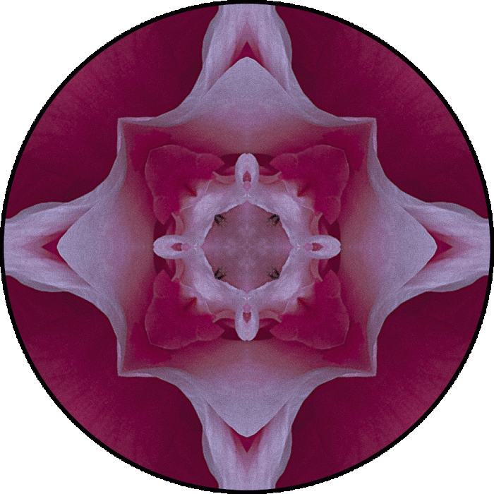 Daily Digital Mandala 669