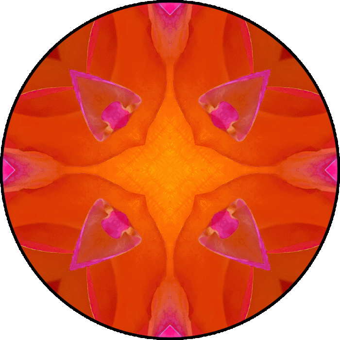 Daily Digital Mandala 679