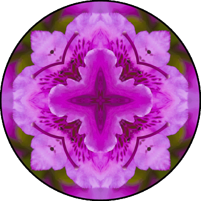Daily Digital Mandala 681