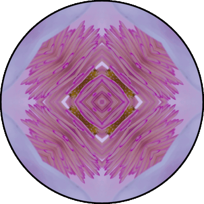 Daily Digital Mandala 666