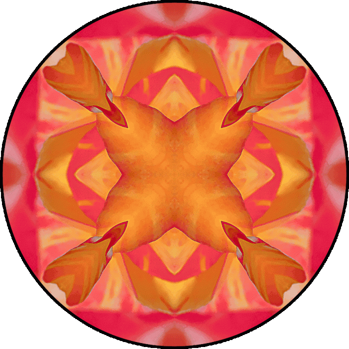 Daily Digital Mandala 654