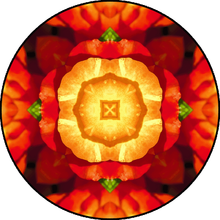 Daily Digital Mandala 729