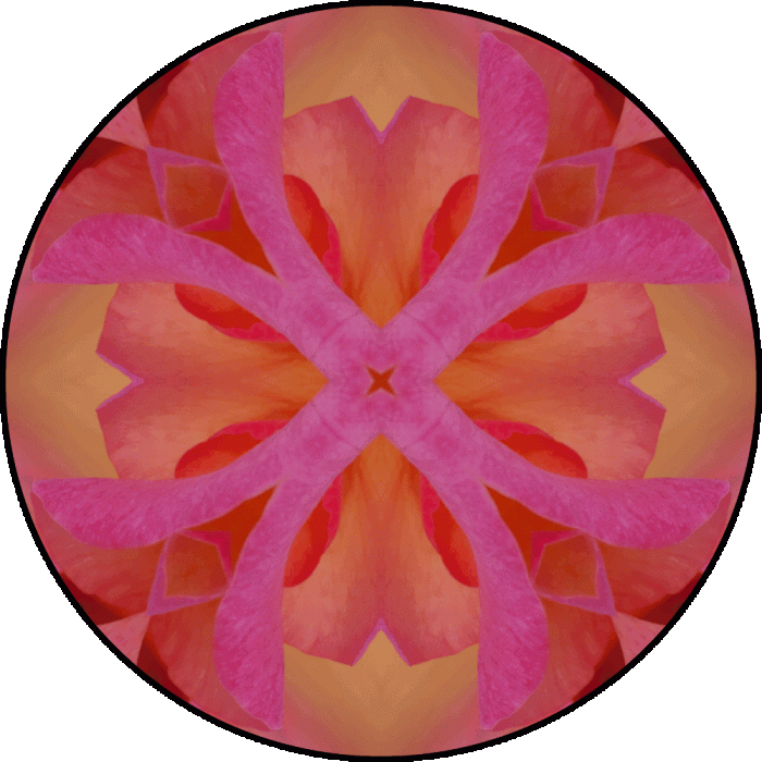 Daily Digital Mandala 659