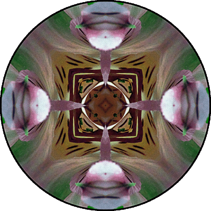 Daily Digital Mandala 680