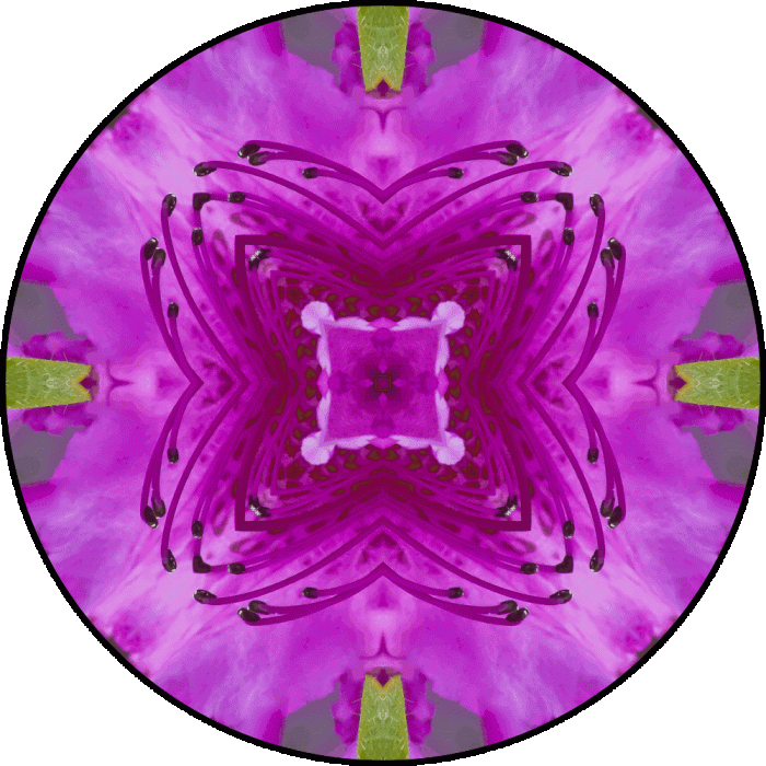 Daily Digital Mandala 702