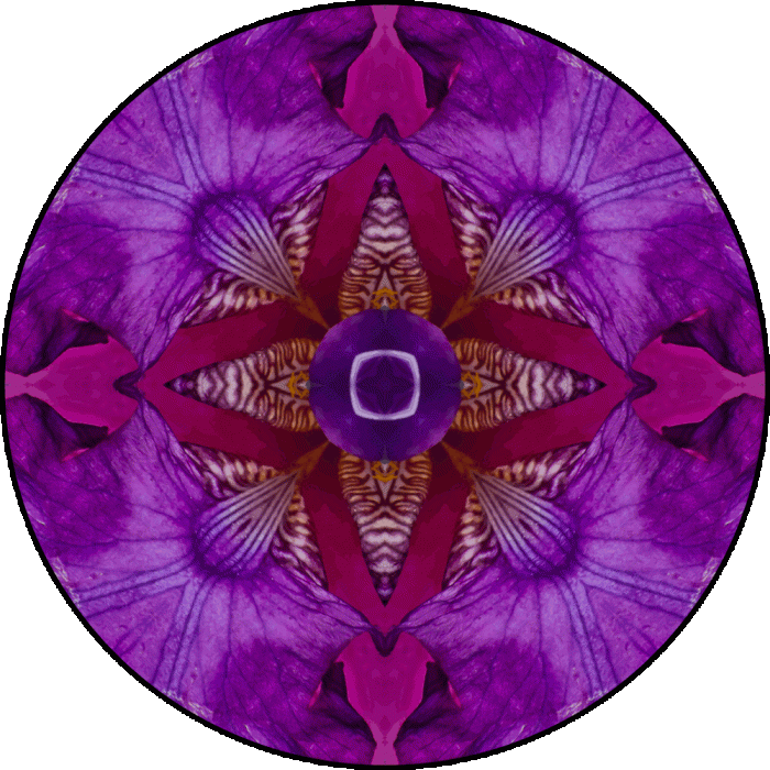 Daily Digital Mandala 683