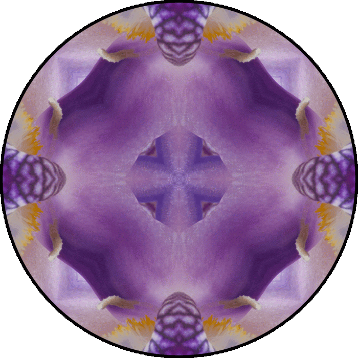Daily Digital Mandala 684